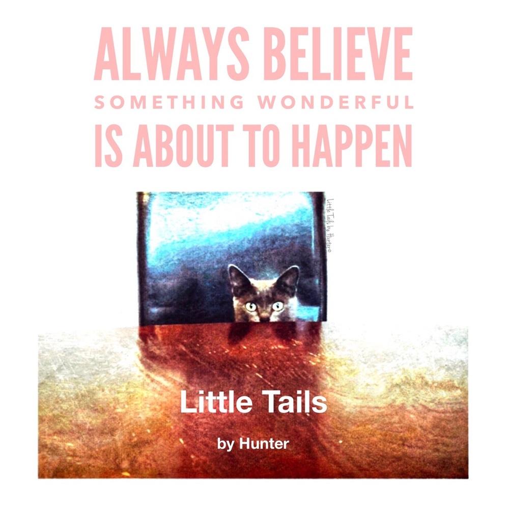 Little Tails by Hunter